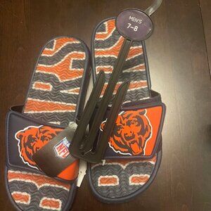 Chicago Bear Slides